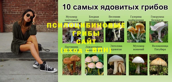 трава Нефтегорск