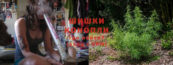 трава Новозыбков