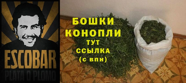 индика Новодвинск