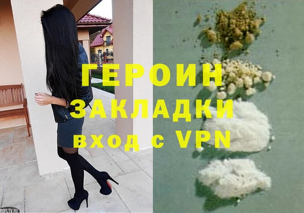 индика Новодвинск