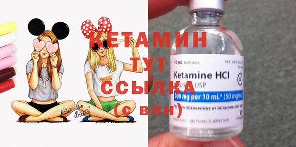 индика Новодвинск