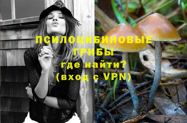 гидропоника Нея
