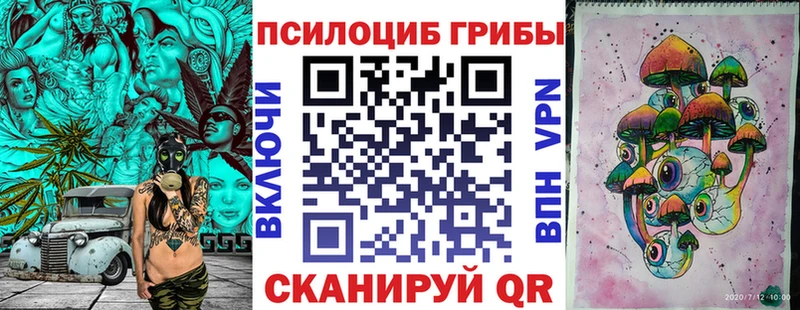 Псилоцибиновые грибы MAGIC MUSHROOMS  как найти закладки  Кодинск 
