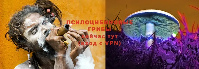 Галлюциногенные грибы Magic Shrooms Кодинск